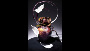 ludovic mercier 2 1600x900 1 300x169