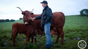 herve mons 03 300x169