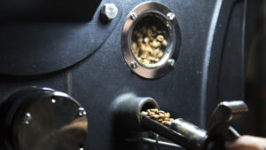 paul arnephy 1 1 300x169