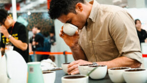 paul arnephy 4 300x169