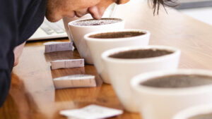 paul arnephy 6 300x169