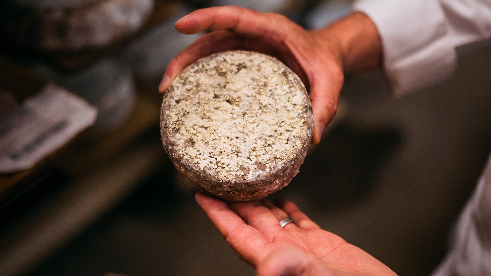 pierre gay 1 1600x900 1 1