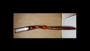 thierry murgue 02 300x169