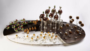 bernard frizza 12 300x169