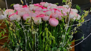 stephane chanteloube 1 300x169