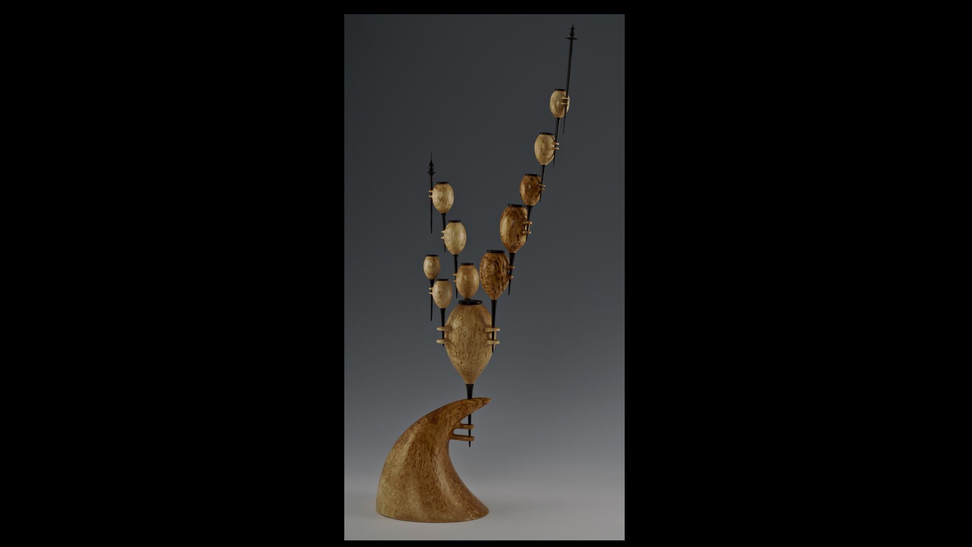 jean francois escoulen 4