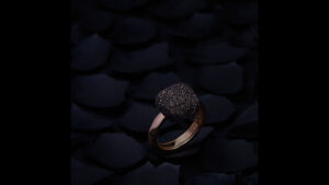 marianne louge 5 300x169